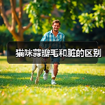 猫咪蒜瓣毛和脏的区别(图2) 猫咪蒜瓣毛和脏的区别|实用指南(图2)