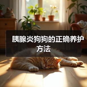 胰腺炎狗狗的正确养护方法全攻略(图2)