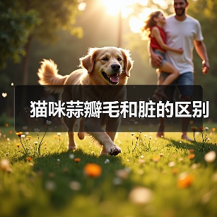 猫咪蒜瓣毛和脏的区别｜实用指南