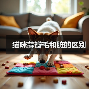 猫咪蒜瓣毛和脏的区别(图4) 猫咪蒜瓣毛和脏的区别|实用指南(图4)