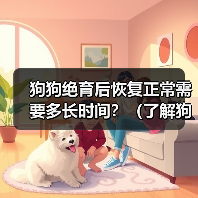 狗狗绝育后恢复正常需要多长时间?(了解狗狗绝育手术后恢复的过程和时间)(图2) 狗狗绝育后恢复过程及时间全攻略(图2)