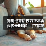 狗狗绝育后恢复过程及时间全攻略