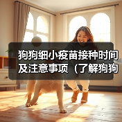 狗狗细小疫苗接种时间及注意事项全攻略