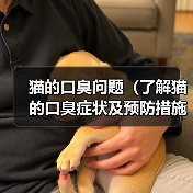 猫的口臭问题(了解猫的口臭症状及预防措施)(图3) 猫的口臭问题全攻略(图3)