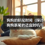 狗狗断尾时机与注意事项全攻略