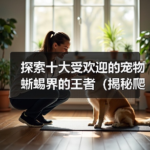 十大受欢迎宠物蜥蜴全攻略