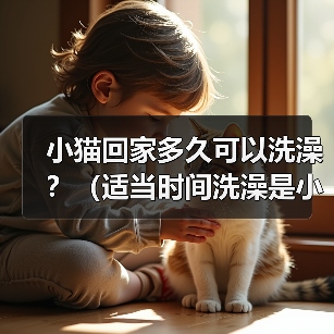 小猫回家多久可以洗澡?(适当时间洗澡是小猫健康的关键)(图3) 小猫回家多久洗澡|实用指南(图3)
