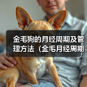 金毛狗月经周期及管理方法全攻略