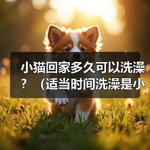 小猫回家多久可以洗澡?(适当时间洗澡是小猫健康的关键)(图4) 小猫回家多久洗澡|实用指南(图4)