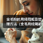 金毛狗的月经周期及管理方法(金毛月经周期、生理特征及护理方法详解)(图3) 金毛狗月经周期及管理方法全攻略(图3)