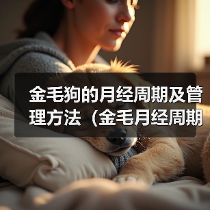金毛狗的月经周期及管理方法(金毛月经周期、生理特征及护理方法详解)(图2) 金毛狗月经周期及管理方法全攻略(图2)
