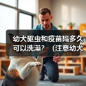 幼犬驱虫和疫苗隔多久可以洗澡?(注意幼犬健康,科学洗澡是关键)(图2) 幼犬驱虫疫苗后多久洗澡全攻略(图2)