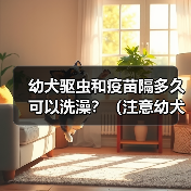 幼犬驱虫疫苗后多久洗澡全攻略