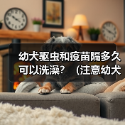 幼犬驱虫和疫苗隔多久可以洗澡?(注意幼犬健康,科学洗澡是关键)(图4) 幼犬驱虫疫苗后多久洗澡全攻略(图4)