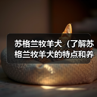 苏格兰牧羊犬(了解苏格兰牧羊犬的特点和养护要点)(图2) 苏格兰牧羊犬养护全攻略(图2)