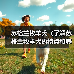 苏格兰牧羊犬(了解苏格兰牧羊犬的特点和养护要点)(图4) 苏格兰牧羊犬养护全攻略(图4)