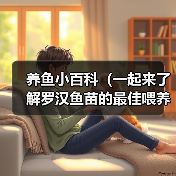 罗汉鱼苗最佳喂养时间全攻略