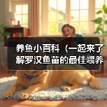 养鱼小百科(一起来了解罗汉鱼苗的最佳喂养时间吧!)(图4) 罗汉鱼苗最佳喂养时间全攻略(图4)