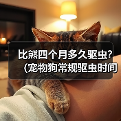 比熊四个月多久驱虫?(宠物狗常规驱虫时间及注意事项)(图3) 比熊四个月多久驱虫全攻略(图3)