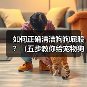 如何正确清洁狗狗屁股?(五步教你给宠物狗清洁屁股)(图3) 如何正确清洁狗狗屁股|实用指南(图3)