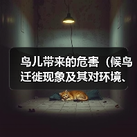 鸟儿带来的危害｜全攻略