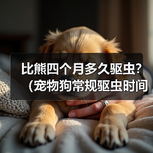 比熊四个月多久驱虫?(宠物狗常规驱虫时间及注意事项)(图2) 比熊四个月多久驱虫全攻略(图2)