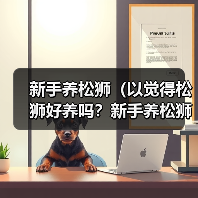新手养松狮(以觉得松狮好养吗?新手养松狮该注意什么事项?)(图2) 新手养松狮全攻略|觉得松狮好养吗新手养松狮该注意什么事项(图2)
