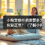 小狗受惊吓后需要多久恢复正常?(了解小狗受惊吓后的行为变化及恢复时间)(图4) 小狗受惊吓后恢复时间及应对方法全攻略(图4)