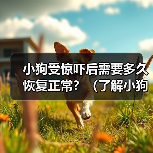 小狗受惊吓后恢复时间及应对方法全攻略