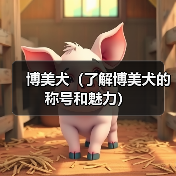 博美犬(了解博美犬的称号和魅力)(图2) 博美犬称号魅力全攻略(图2)