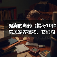 狗狗的毒药(揭秘10种常见家养植物,它们对狗狗的毒性有多大?)(图4) 狗狗的毒药:揭秘10种常见家养植物毒性全攻略(图4)