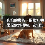 狗狗的毒药(揭秘10种常见家养植物,它们对狗狗的毒性有多大?)(图2) 狗狗的毒药:揭秘10种常见家养植物毒性全攻略(图2)