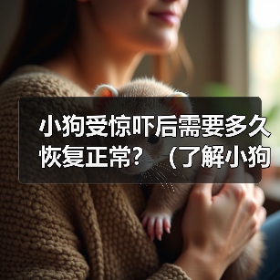 小狗受惊吓后需要多久恢复正常?(了解小狗受惊吓后的行为变化及恢复时间)(图2) 小狗受惊吓后恢复时间及应对方法全攻略(图2)