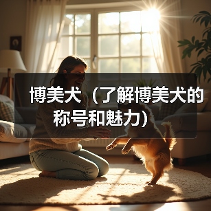 博美犬称号魅力全攻略