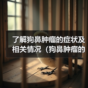 了解狗鼻肿瘤的症状及相关情况(狗鼻肿瘤的早期症状和预防措施)(图3) 狗鼻肿瘤症状及预防措施全攻略(图3)
