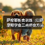 萨摩耶拒食训练全攻略