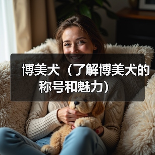 博美犬(了解博美犬的称号和魅力)(图3) 博美犬称号魅力全攻略(图3)