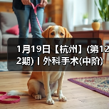 1月19日【杭州】(第122期)丨外科手术(中阶)实战班,2人/组提供一猫一狗,实操超多!(图2) 外科手术实战班:中阶技能提升全攻略(图2)