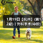 1月19日【杭州】(第122期)丨外科手术(中阶)实战班,2人/组提供一猫一狗,实操超多!(图3) 外科手术实战班:中阶技能提升全攻略(图3)