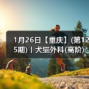 1月26日【重庆】(第125期)丨犬猫外科(高阶)班!含SUB(人人可实操)、乳糜胸等技术!(图4) 犬猫外科高阶实操班技术核心技巧(图4)