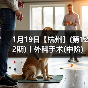 外科手术实战班：中阶技能提升全攻略
