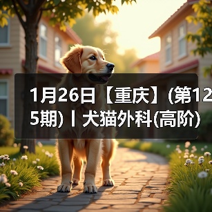 犬猫外科高阶实操班技术核心技巧