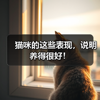 猫咪的这些表现,说明养得很好!(图2) 猫咪养得好的八大特征|实用指南(图2)