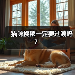 猫咪换粮一定要过渡吗?(图2) 猫咪换粮一定要过渡吗?实用指南(图2)