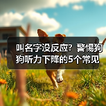 叫名字没反应警惕狗狗听力下降5表现全攻略(图2)