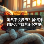 叫名字没反应警惕狗狗听力下降5表现全攻略(图3)