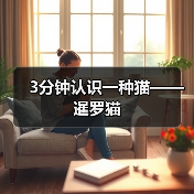 暹罗猫全攻略：性格特点与饲养要点