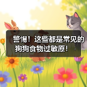 警惕！常见狗狗食物过敏原全攻略(图2)