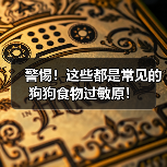 警惕！常见狗狗食物过敏原全攻略(图3)