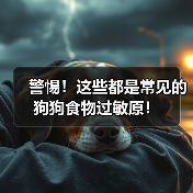 警惕！常见狗狗食物过敏原全攻略